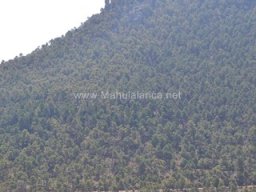 Valle de Leiva-Perdiz 2010